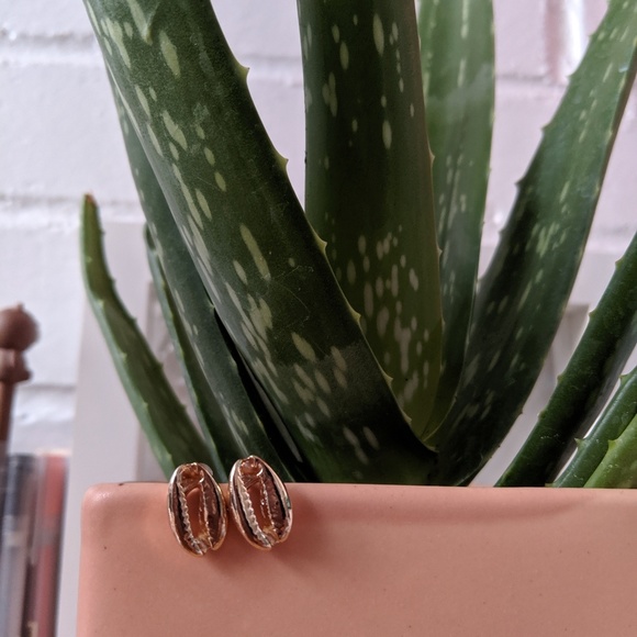 S u m m e r breeze golden • cowrie shell earrings - Picture 5 of 5